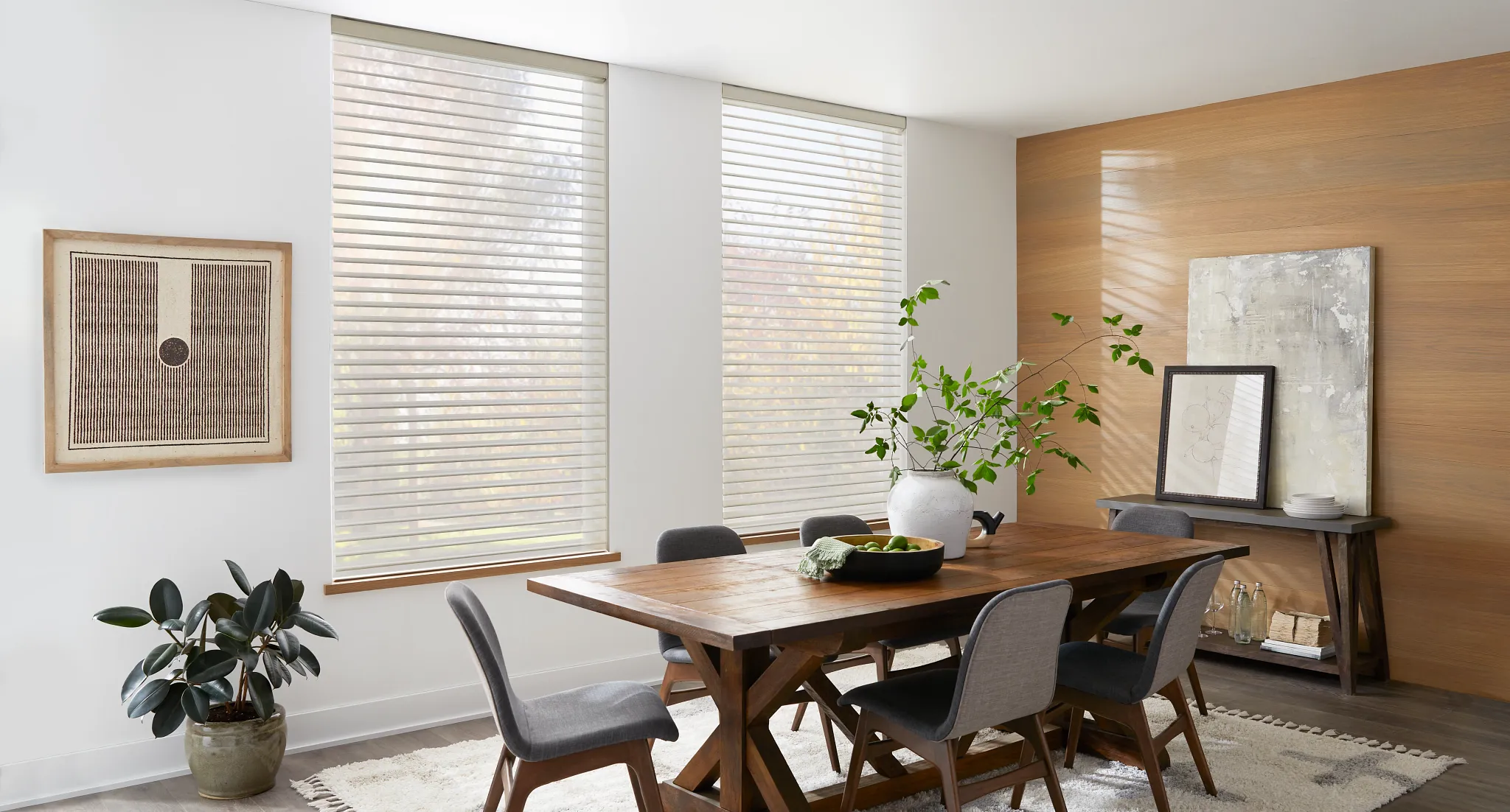 Elegant sheer shades in a sunlit living room.